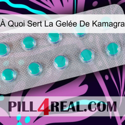 À Quoi Sert La Gelée De Kamagra 28